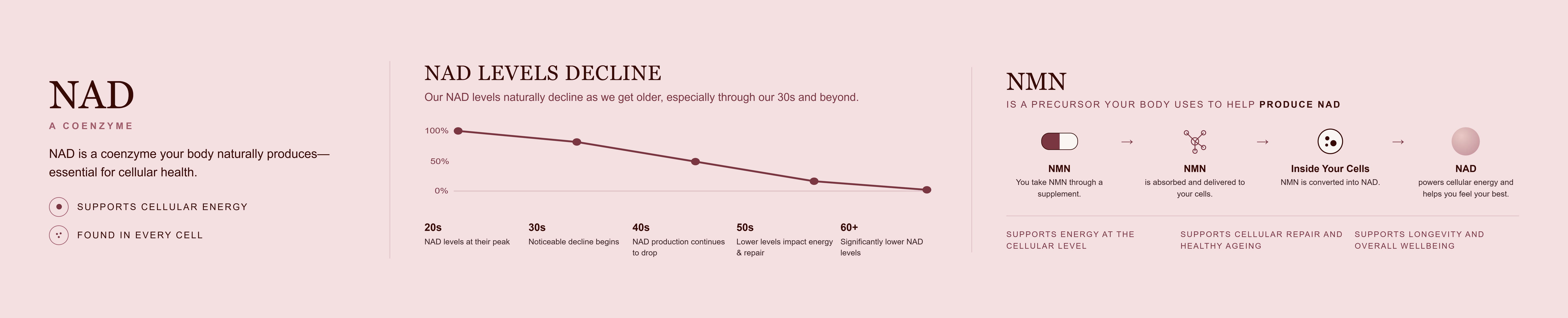 A pink infographic titled 'NAD+ A GUIDE' with three columns of text and a central line chart showing NAD levels declining over time, alongside icons and small diagrams related to NMN and cellular health.