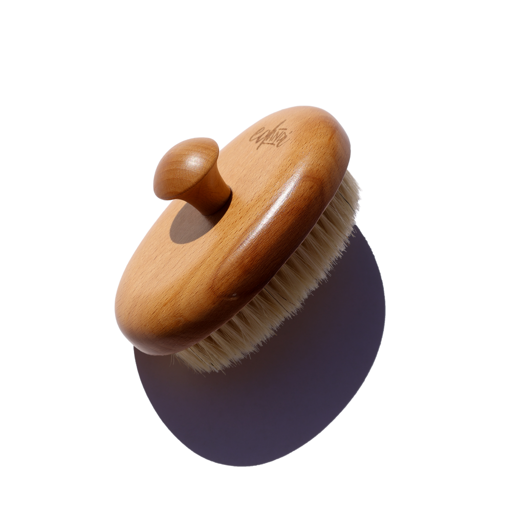 Dry Body Brush