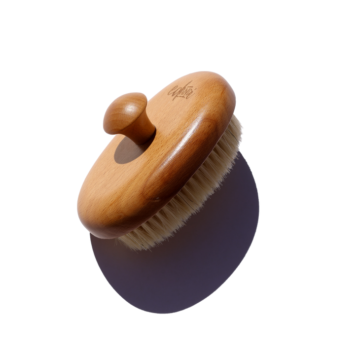 Dry Body Brush