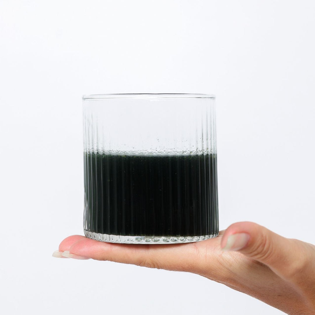 MORNING SHRED Daily Hydration, Clarity & Digestive Comfort Supplement