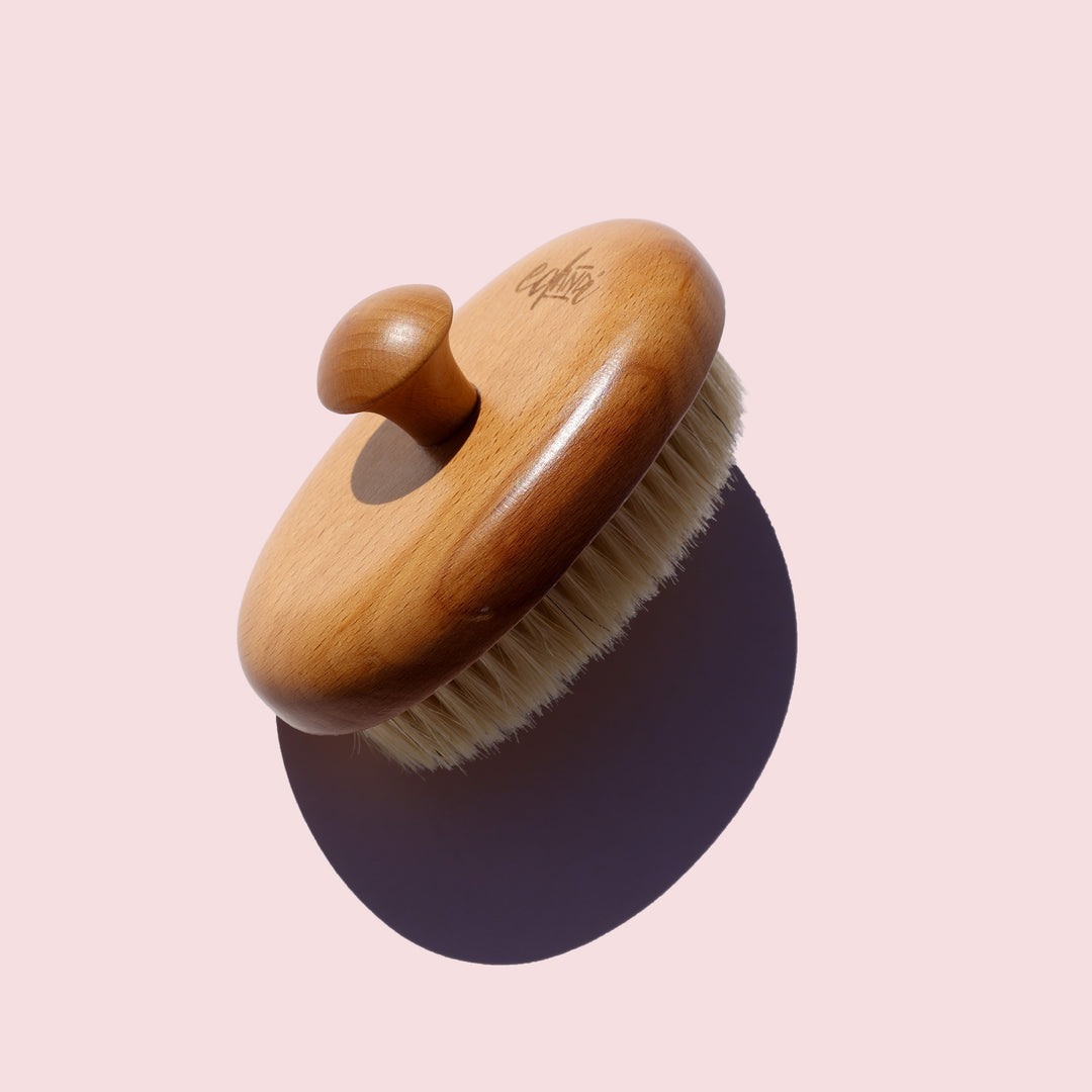 Dry Body Brush